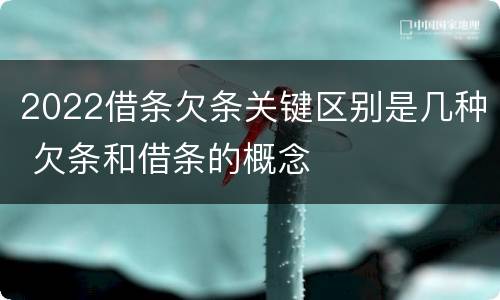 2022借条欠条关键区别是几种 欠条和借条的概念