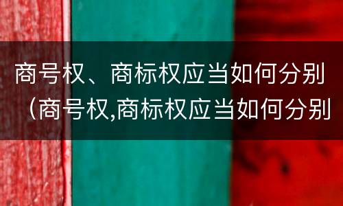 商号权、商标权应当如何分别（商号权,商标权应当如何分别使用）