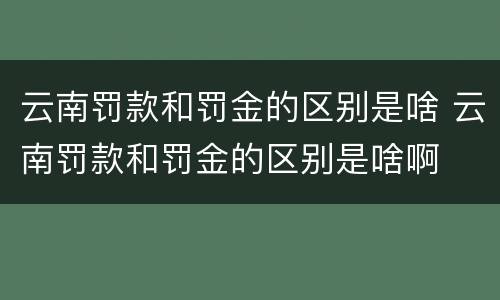 云南罚款和罚金的区别是啥 云南罚款和罚金的区别是啥啊