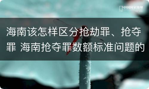 海南该怎样区分抢劫罪、抢夺罪 海南抢夺罪数额标准问题的规定