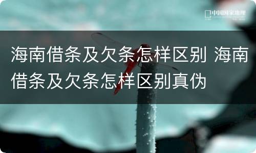 海南借条及欠条怎样区别 海南借条及欠条怎样区别真伪