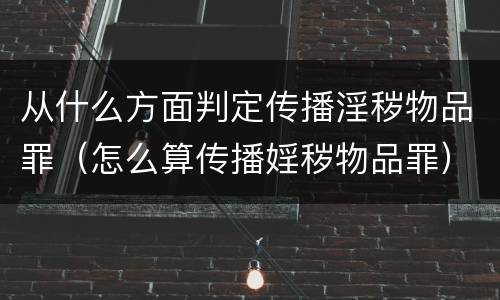 从什么方面判定传播淫秽物品罪（怎么算传播婬秽物品罪）