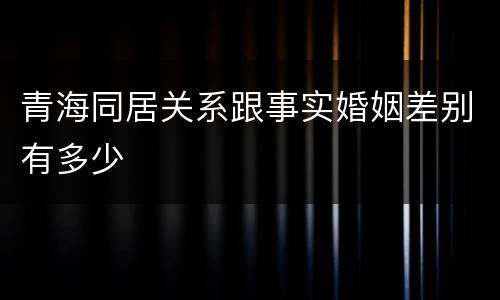 青海同居关系跟事实婚姻差别有多少