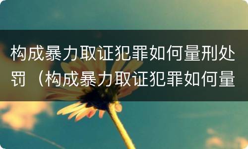 构成暴力取证犯罪如何量刑处罚（构成暴力取证犯罪如何量刑处罚依据）