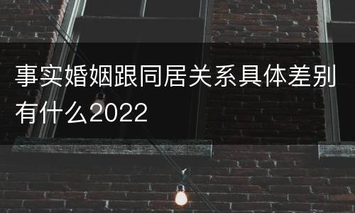 事实婚姻跟同居关系具体差别有什么2022