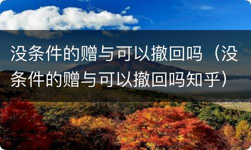 没条件的赠与可以撤回吗（没条件的赠与可以撤回吗知乎）