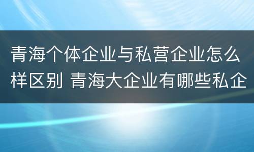 青海个体企业与私营企业怎么样区别 青海大企业有哪些私企