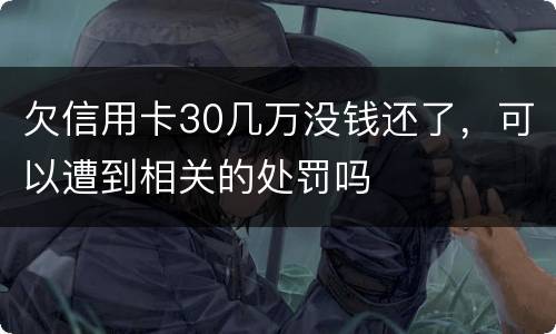 欠信用卡30几万没钱还了，可以遭到相关的处罚吗