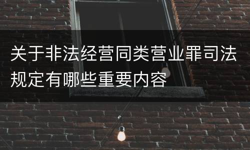 关于非法经营同类营业罪司法规定有哪些重要内容