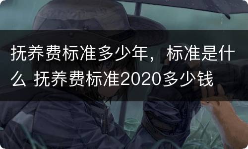 抚养费标准多少年，标准是什么 抚养费标准2020多少钱