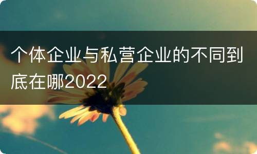 个体企业与私营企业的不同到底在哪2022