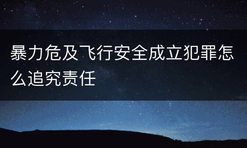 暴力危及飞行安全成立犯罪怎么追究责任