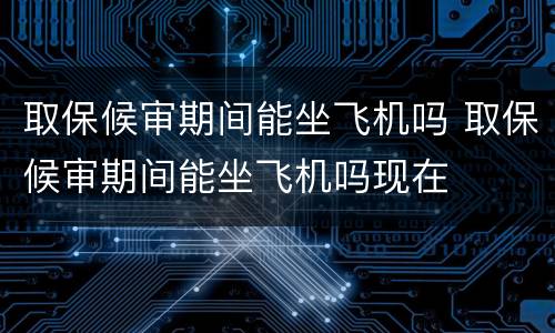 取保候审期间能坐飞机吗 取保候审期间能坐飞机吗现在