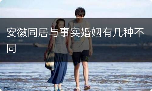 安徽同居与事实婚姻有几种不同