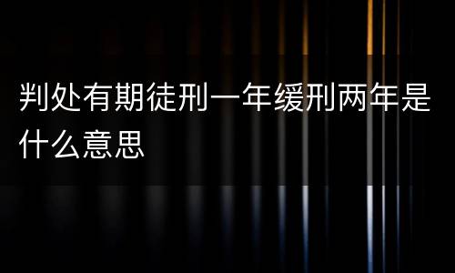 判处有期徒刑一年缓刑两年是什么意思