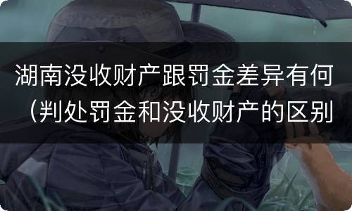 湖南没收财产跟罚金差异有何（判处罚金和没收财产的区别）