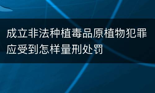 成立非法种植毒品原植物犯罪应受到怎样量刑处罚