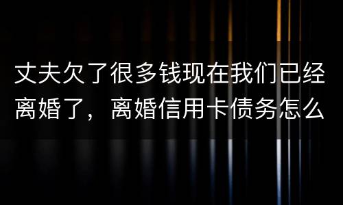 丈夫欠了很多钱现在我们已经离婚了，离婚信用卡债务怎么办