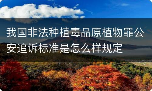 我国非法种植毒品原植物罪公安追诉标准是怎么样规定