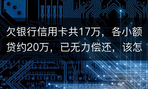 欠银行信用卡共17万，各小额贷约20万，已无力偿还，该怎么办