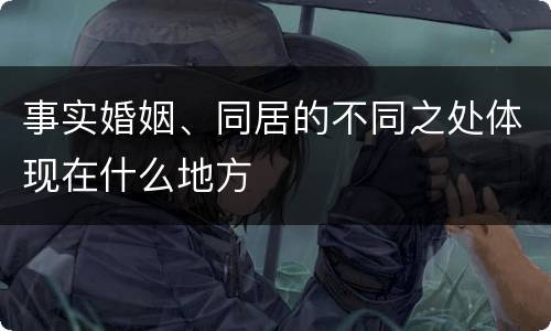 事实婚姻、同居的不同之处体现在什么地方