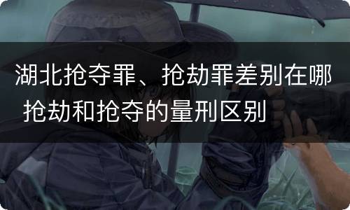 湖北抢夺罪、抢劫罪差别在哪 抢劫和抢夺的量刑区别