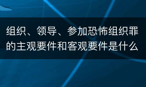 组织、领导、参加恐怖组织罪的主观要件和客观要件是什么