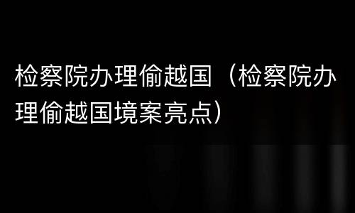 检察院办理偷越国（检察院办理偷越国境案亮点）