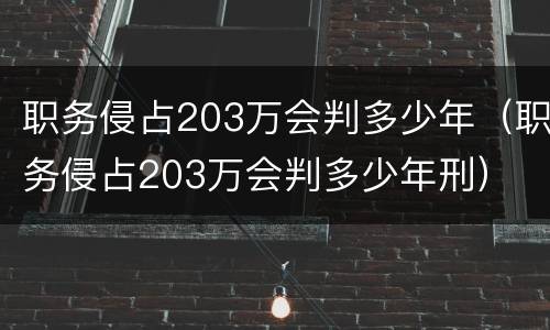 职务侵占203万会判多少年（职务侵占203万会判多少年刑）