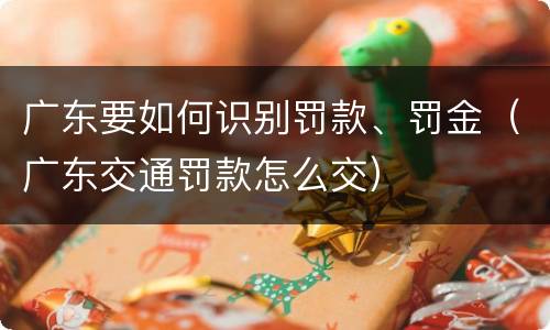 广东要如何识别罚款、罚金（广东交通罚款怎么交）