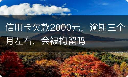 信用卡欠款2000元，逾期三个月左右，会被拘留吗