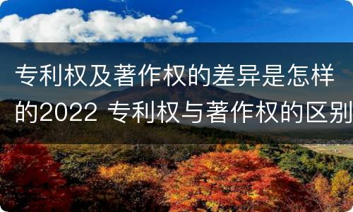 专利权及著作权的差异是怎样的2022 专利权与著作权的区别与联系