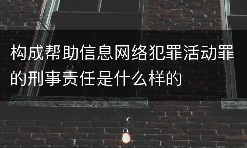 构成帮助信息网络犯罪活动罪的刑事责任是什么样的