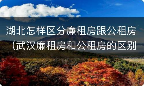 湖北怎样区分廉租房跟公租房（武汉廉租房和公租房的区别）