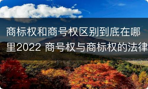 商标权和商号权区别到底在哪里2022 商号权与商标权的法律冲突与解决