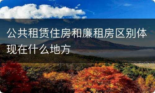 公共租赁住房和廉租房区别体现在什么地方