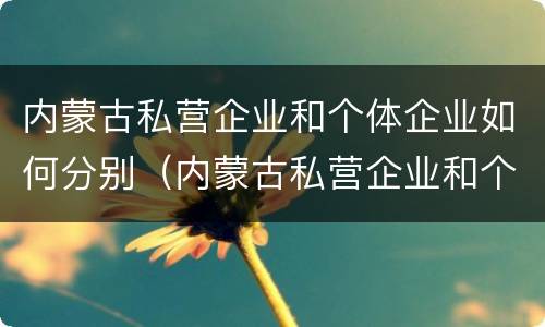 内蒙古私营企业和个体企业如何分别（内蒙古私营企业和个体企业如何分别交税）