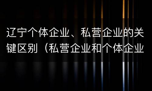 辽宁个体企业、私营企业的关键区别（私营企业和个体企业的区别）