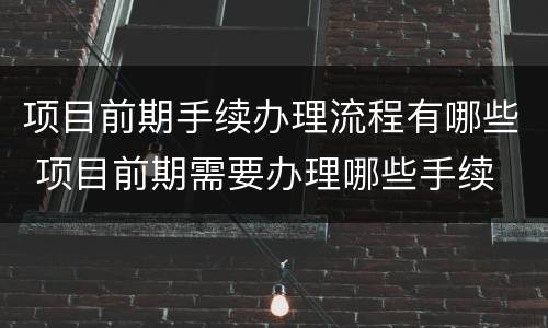 项目前期手续办理流程有哪些 项目前期需要办理哪些手续