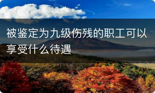 被鉴定为九级伤残的职工可以享受什么待遇