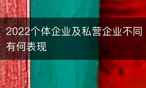 2022个体企业及私营企业不同有何表现