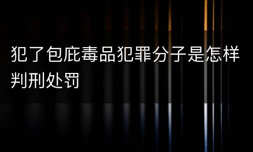 犯了包庇毒品犯罪分子是怎样判刑处罚