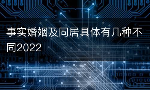 事实婚姻及同居具体有几种不同2022