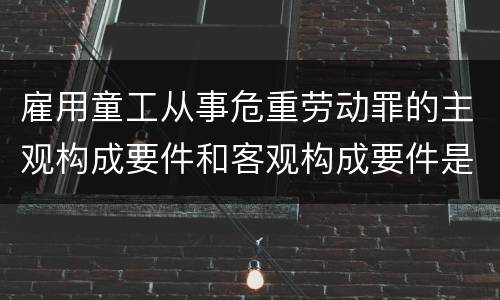 雇用童工从事危重劳动罪的主观构成要件和客观构成要件是什么