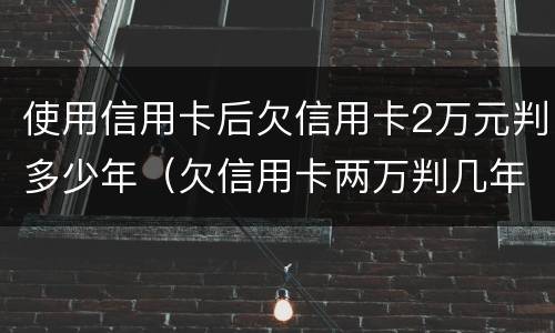 使用信用卡后欠信用卡2万元判多少年（欠信用卡两万判几年）