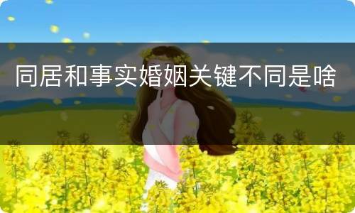 同居和事实婚姻关键不同是啥