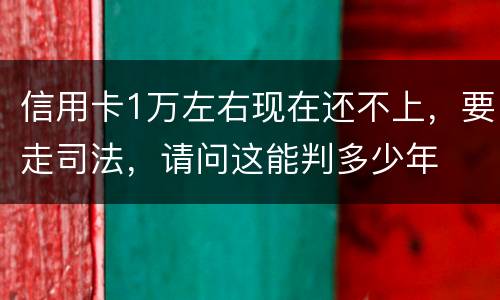 信用卡1万左右现在还不上，要走司法，请问这能判多少年