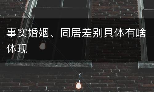 事实婚姻、同居差别具体有啥体现