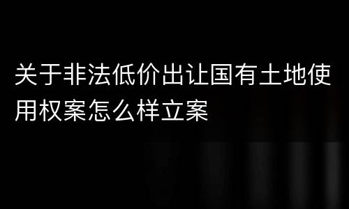 关于非法低价出让国有土地使用权案怎么样立案