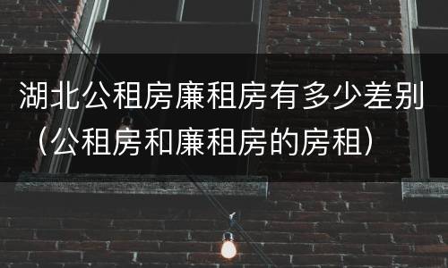 湖北公租房廉租房有多少差别（公租房和廉租房的房租）